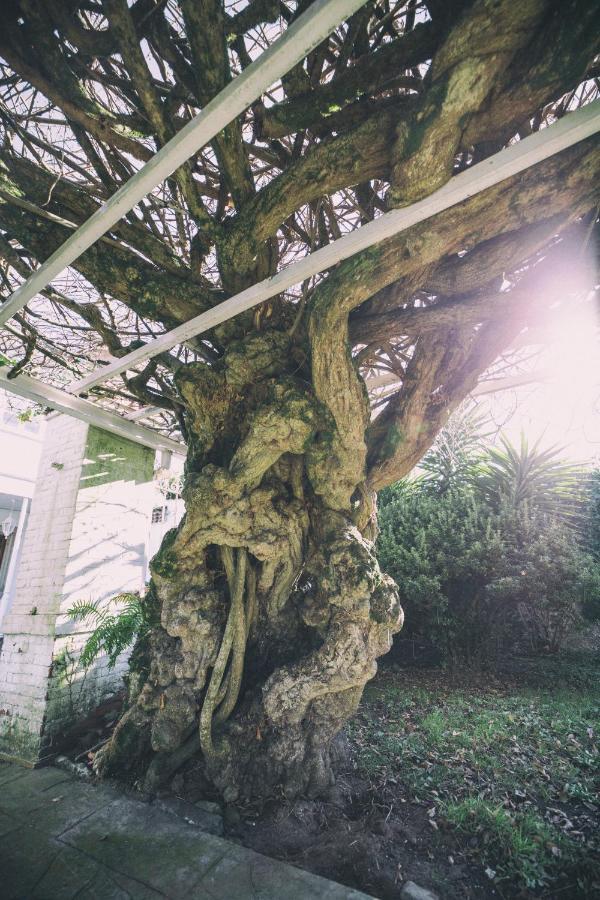 La Casona De Amandi Otel Villaviciosa  Dış mekan fotoğraf